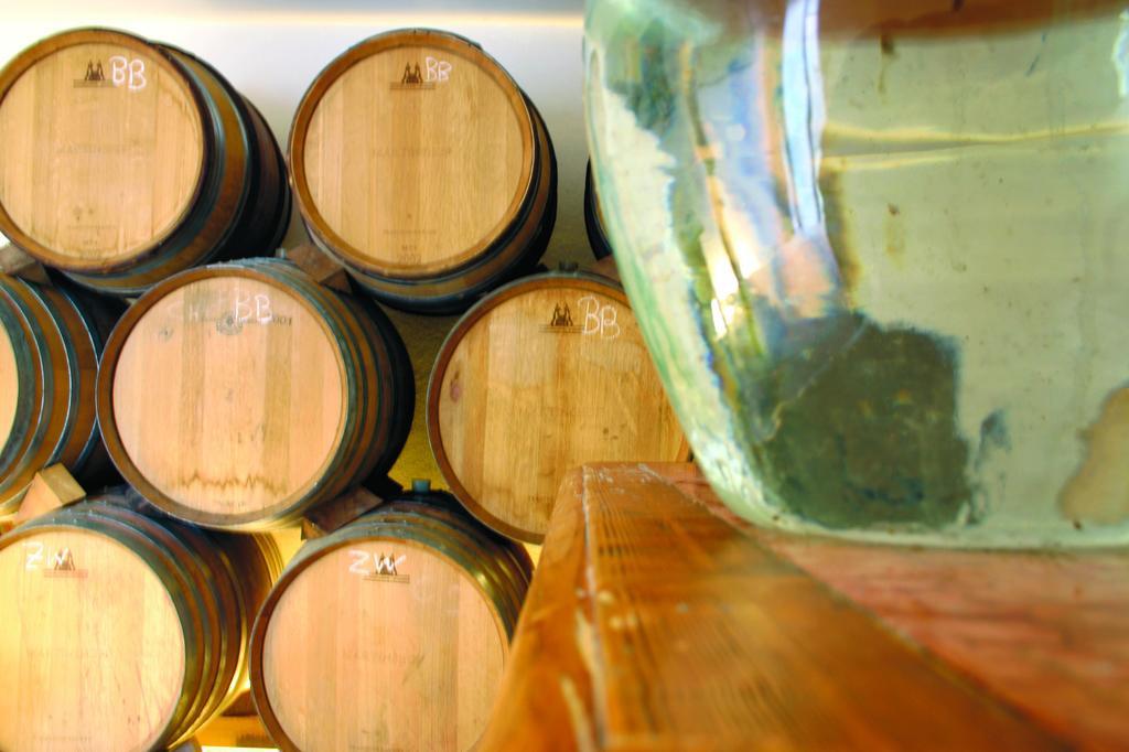 Weingut Martinshof Ξενοδοχείο Sankt Ulrich  Εξωτερικό φωτογραφία