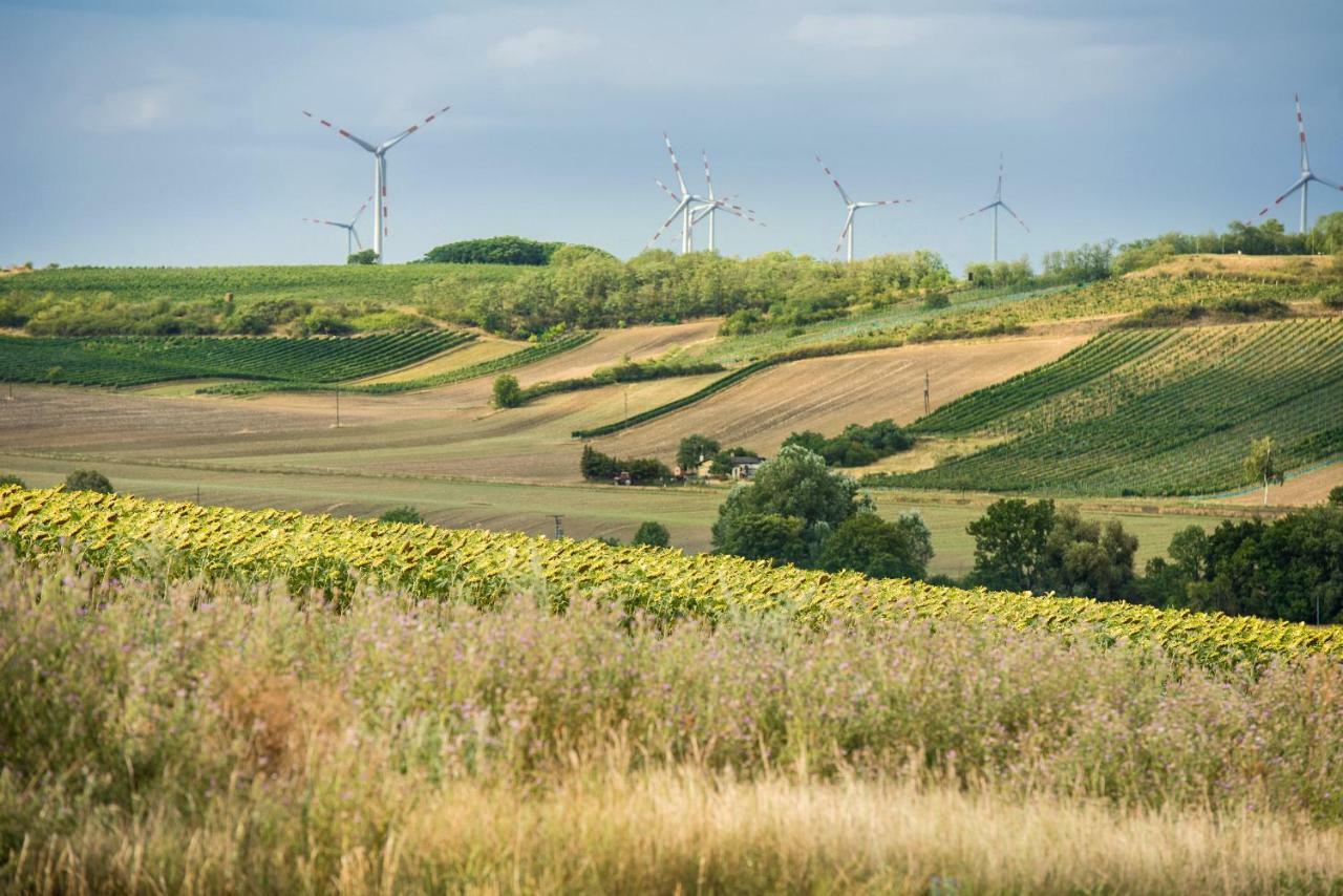 Weingut Martinshof Ξενοδοχείο Sankt Ulrich  Εξωτερικό φωτογραφία